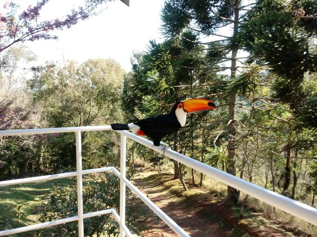 Abrigo Da Reserva Hotel Santo Antônio do Pinhal Buitenkant foto